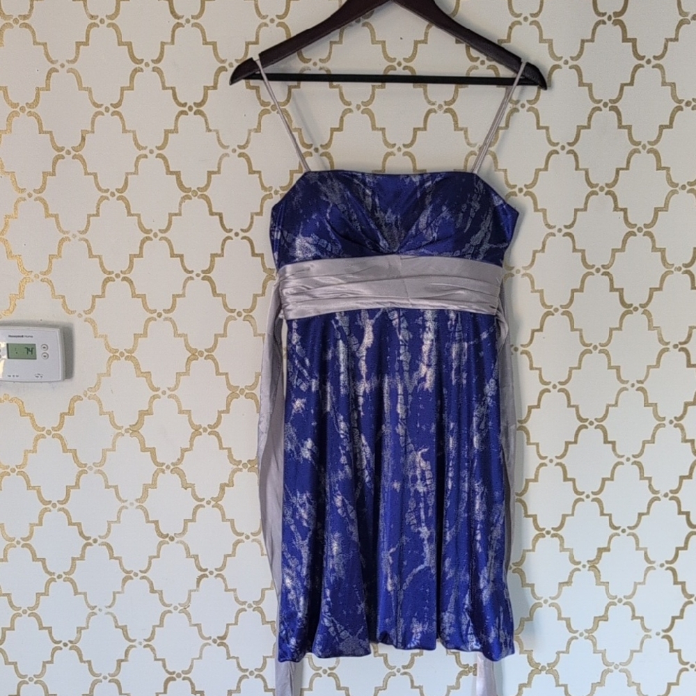 Royal Blue and Silver Women's Dress